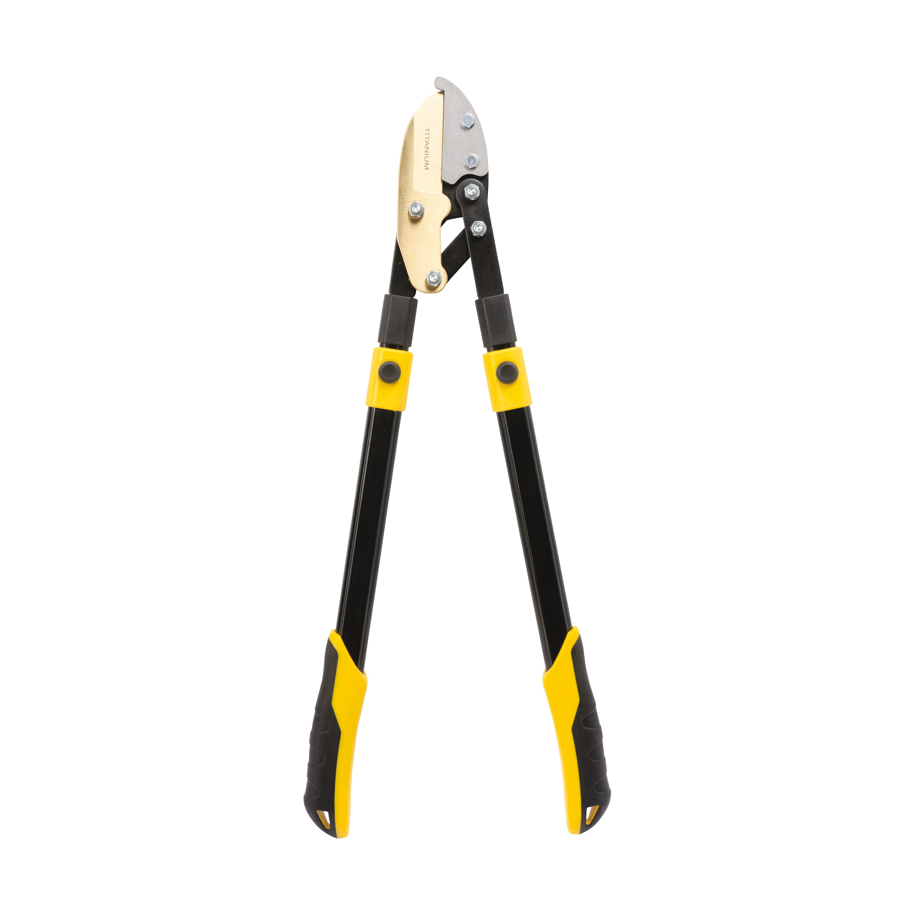 ACCUSCAPE™ PROSERIES Telescopic Compound Action Anvil Lopper BDS6312